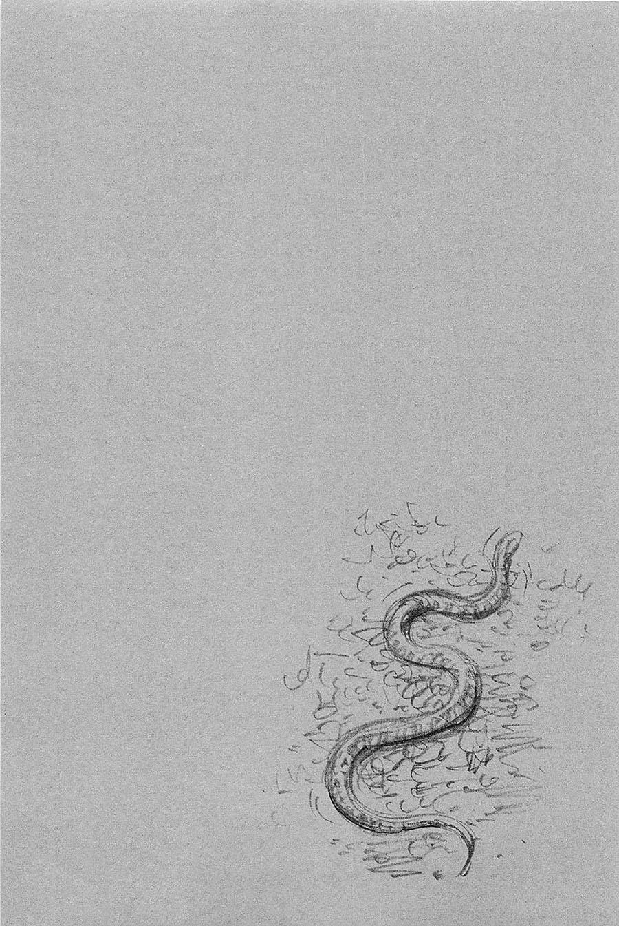 Lãng Khách Chapter 318 - 32