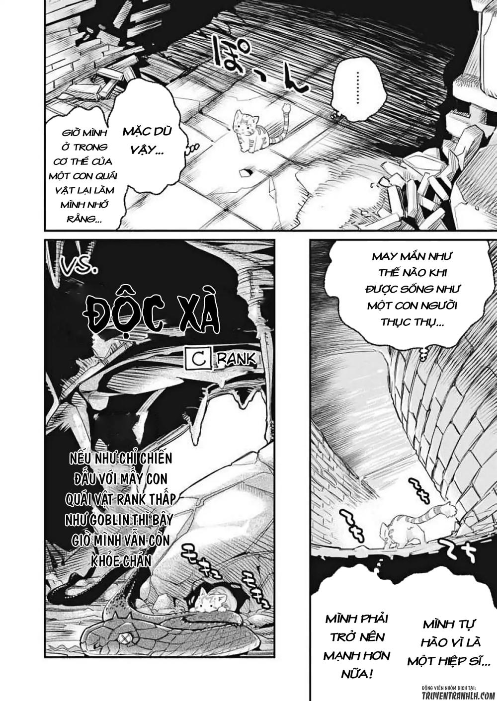 I Am Behemoth Of The S Rank Monster But I Am Mistaken As A Cat And I Live As A Pet Of Elf Girl Chapter 1 - 17