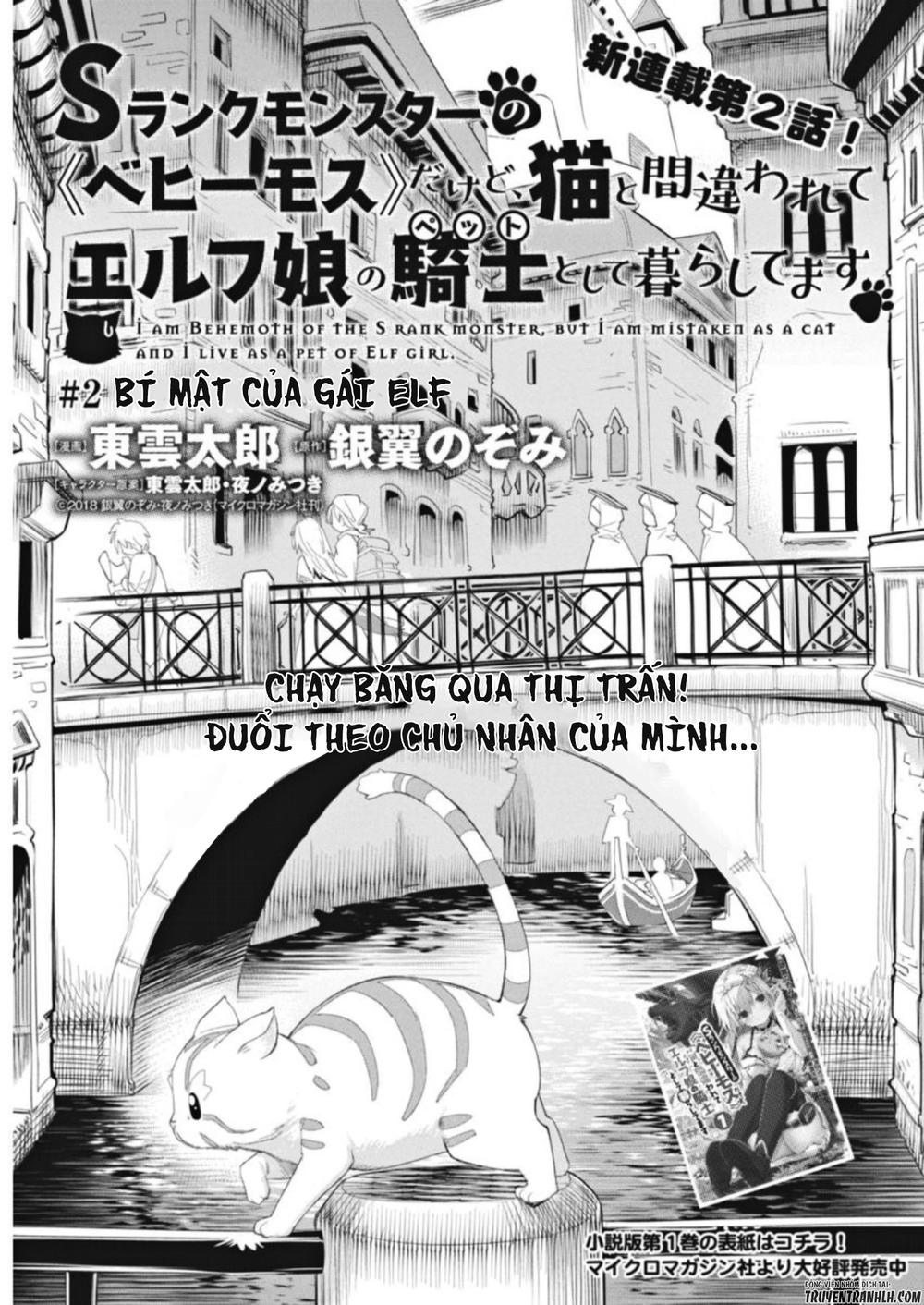 I Am Behemoth Of The S Rank Monster But I Am Mistaken As A Cat And I Live As A Pet Of Elf Girl Chapter 2 - 4