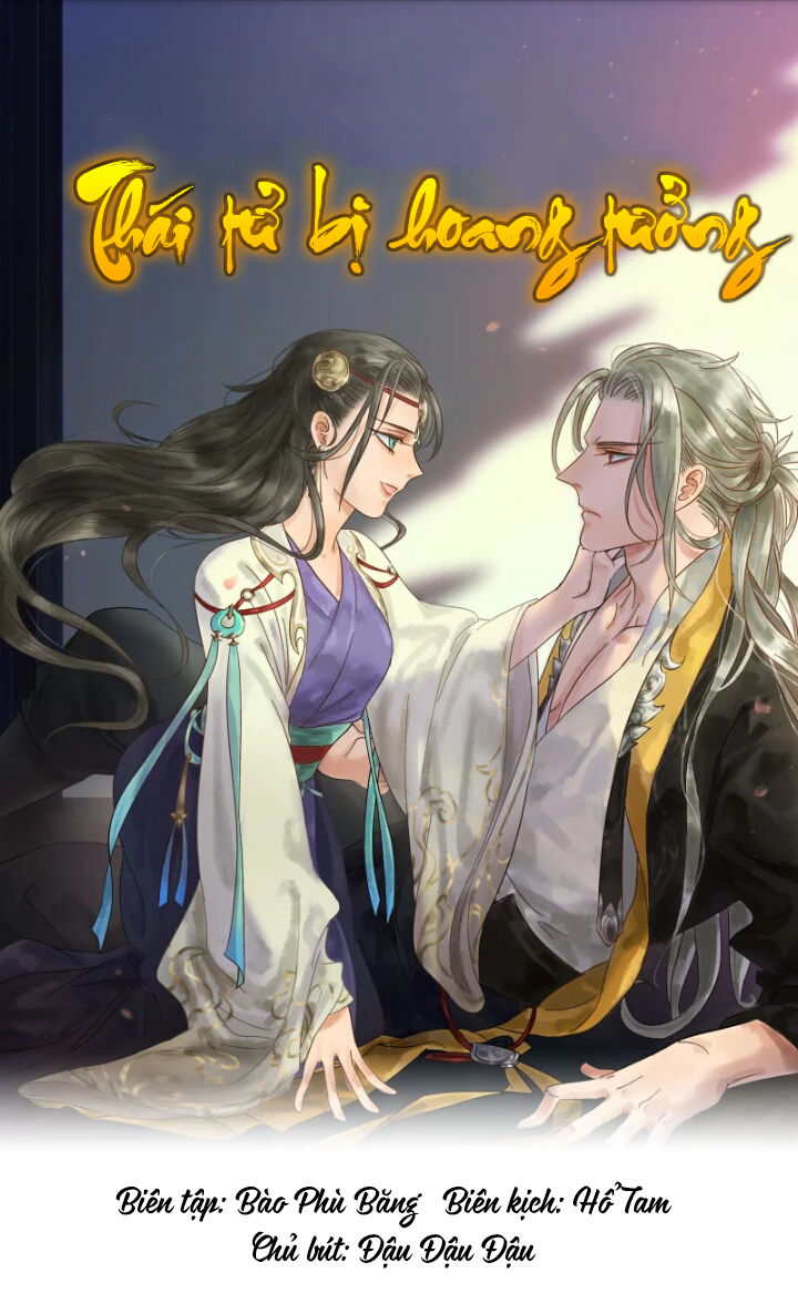 Thái Tử Bị Hoang Tưởng Chapter 6 - 1