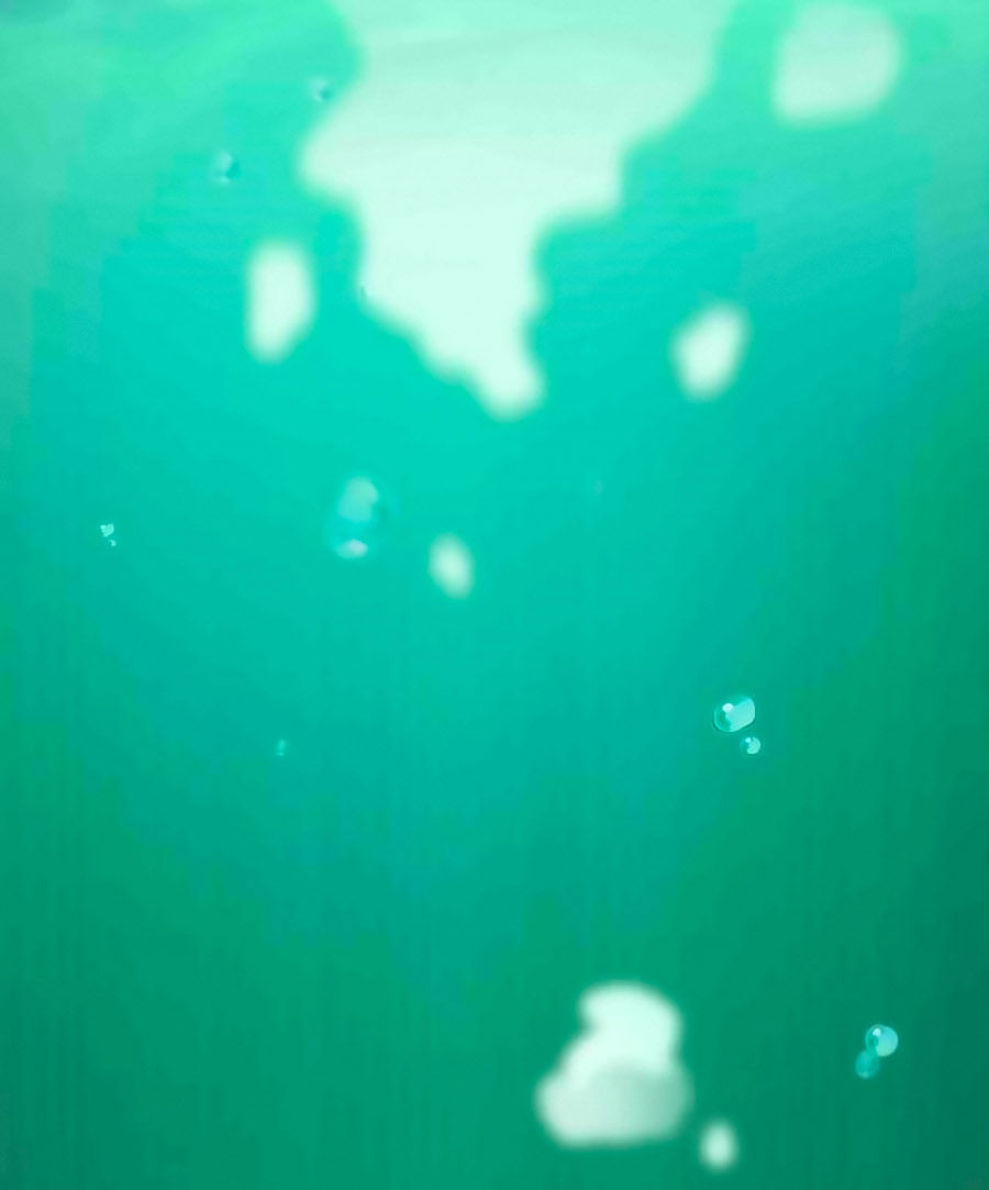 Kiêu Sủng Y Phi Chapter 1 - 13