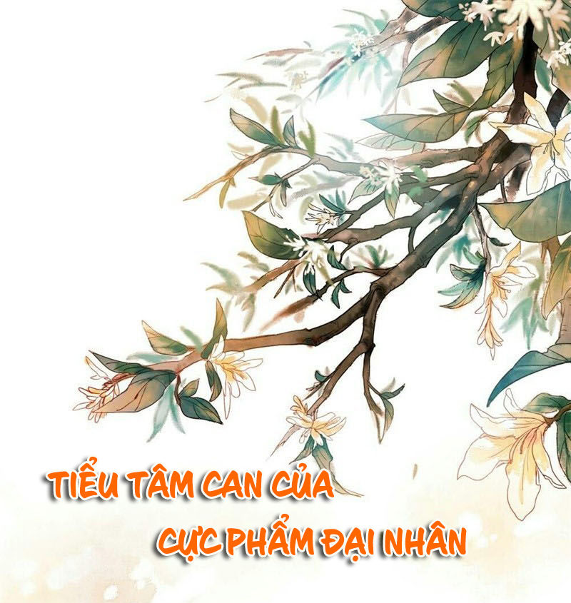 Tiểu Tâm Can Của Cực Phẩm Đại Nhân Chapter 15 - 2