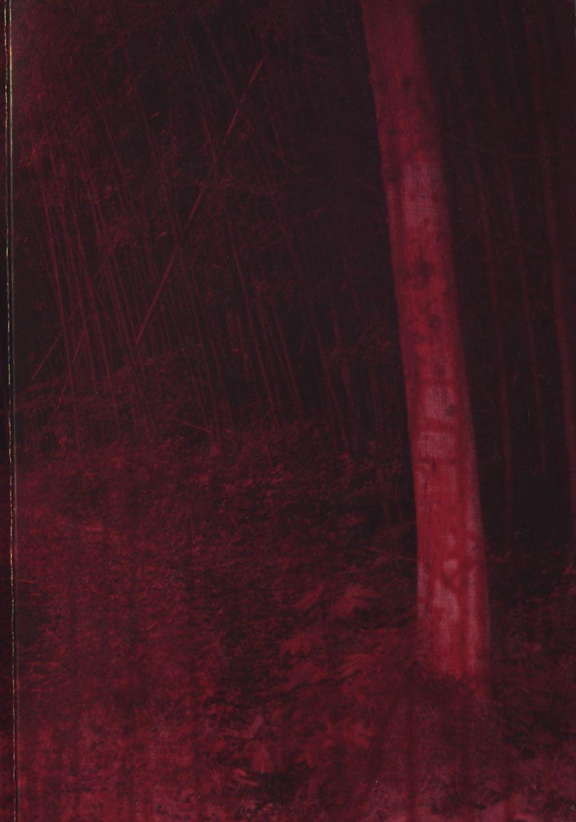 Đảo Ma Cà Rồng Chapter 1 - 9