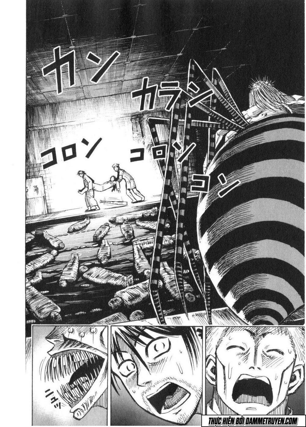 Đảo Ma Cà Rồng Chapter 195 - 16