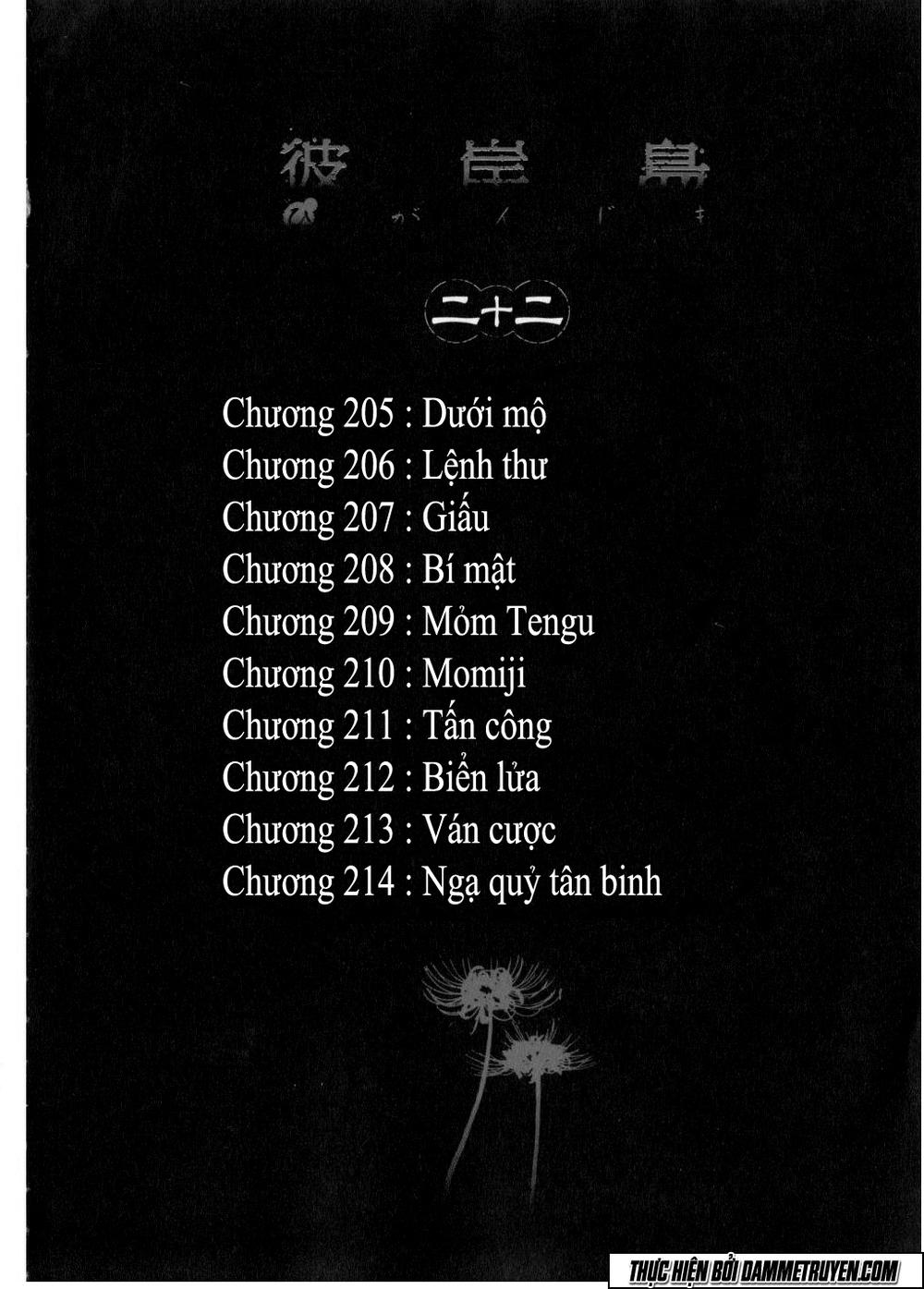 Đảo Ma Cà Rồng Chapter 205 - 6
