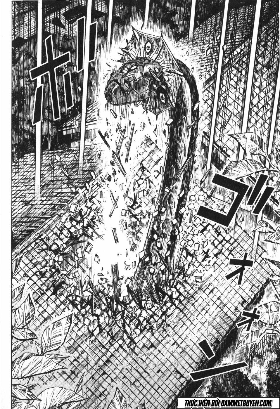 Đảo Ma Cà Rồng Chapter 221 - 5