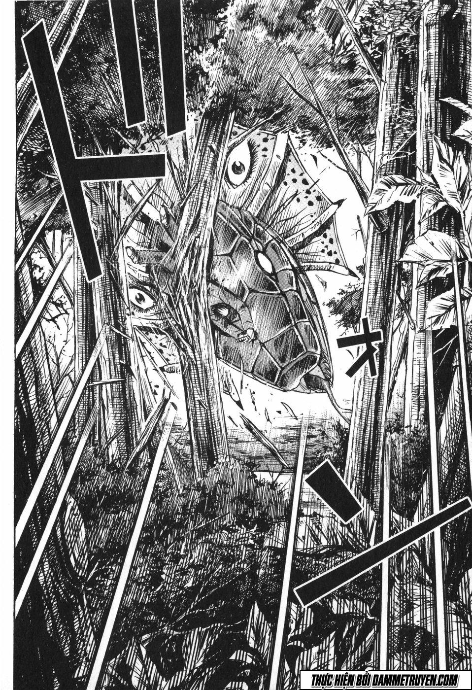 Đảo Ma Cà Rồng Chapter 222 - 7