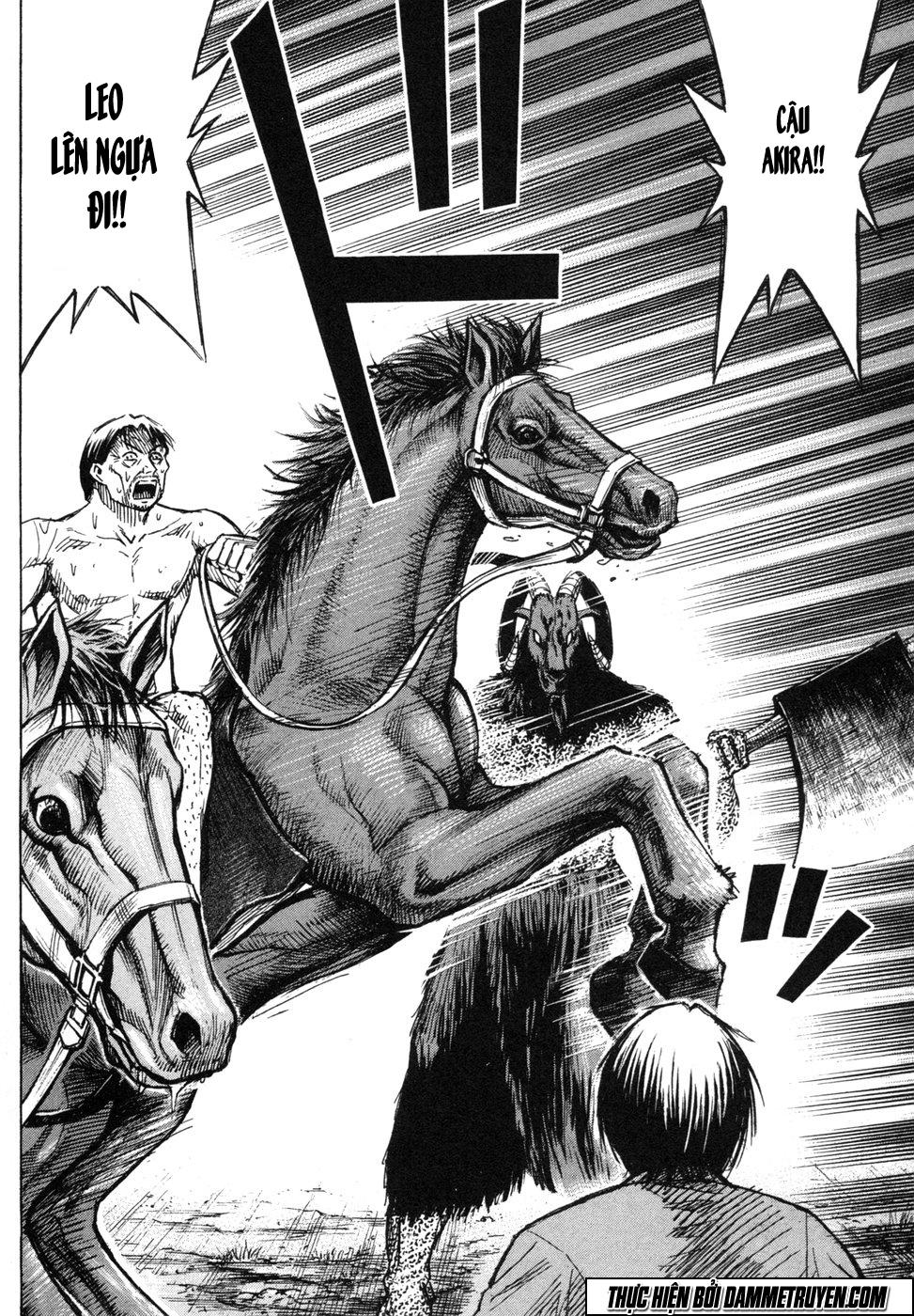 Đảo Ma Cà Rồng Chapter 237 - 17