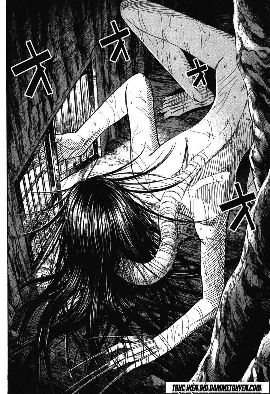 Đảo Ma Cà Rồng Chapter 429 - 3