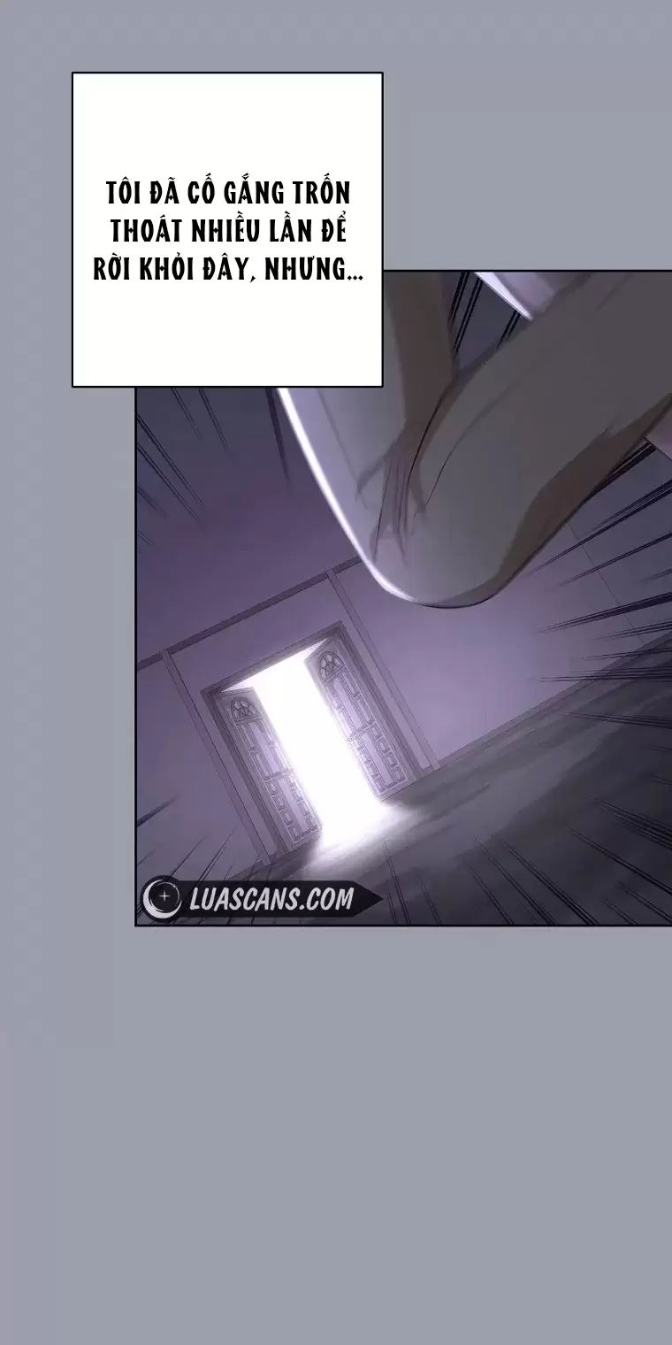 Tôi Sẽ Thoát Khỏi Đoá Hoa Của Thử Thách Chapter  11 - 49