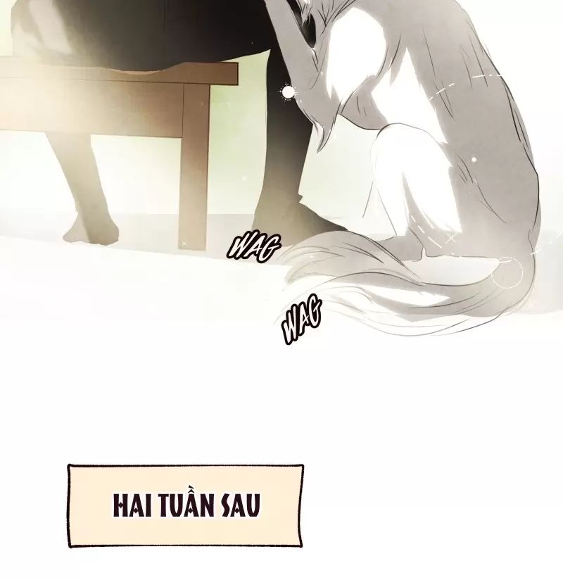 Tôi Là Kẻ Phản Diện Chapter 13 - 45
