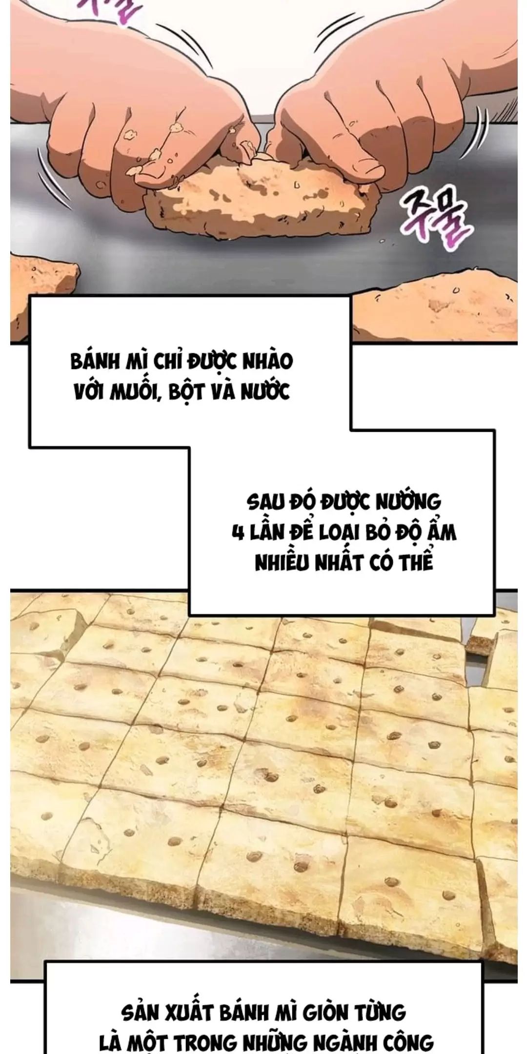 Anh Hùng Mạnh Nhất? Ta Không Làm Lâu Rồi! Chapter  186 - 36