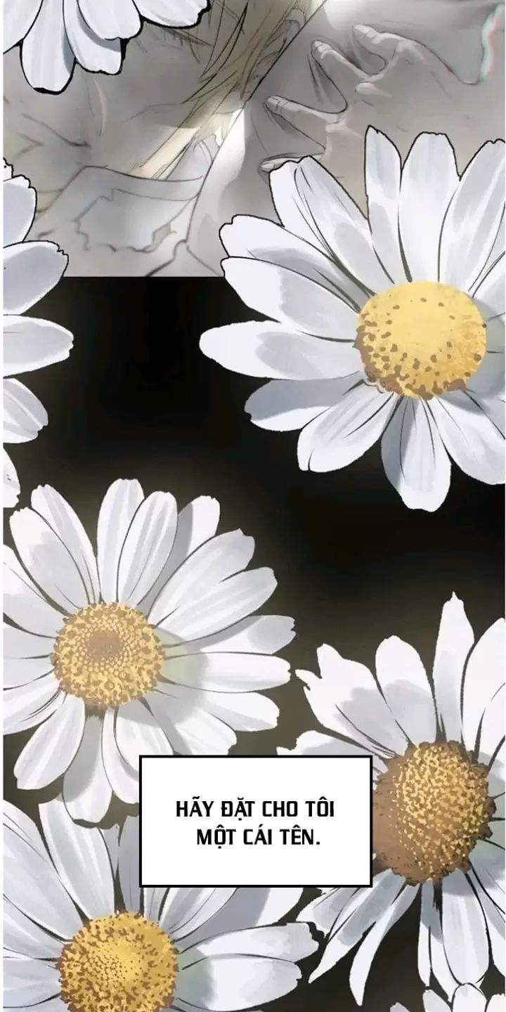 Anh Hùng Mạnh Nhất? Ta Không Làm Lâu Rồi! Chapter  226 - 67