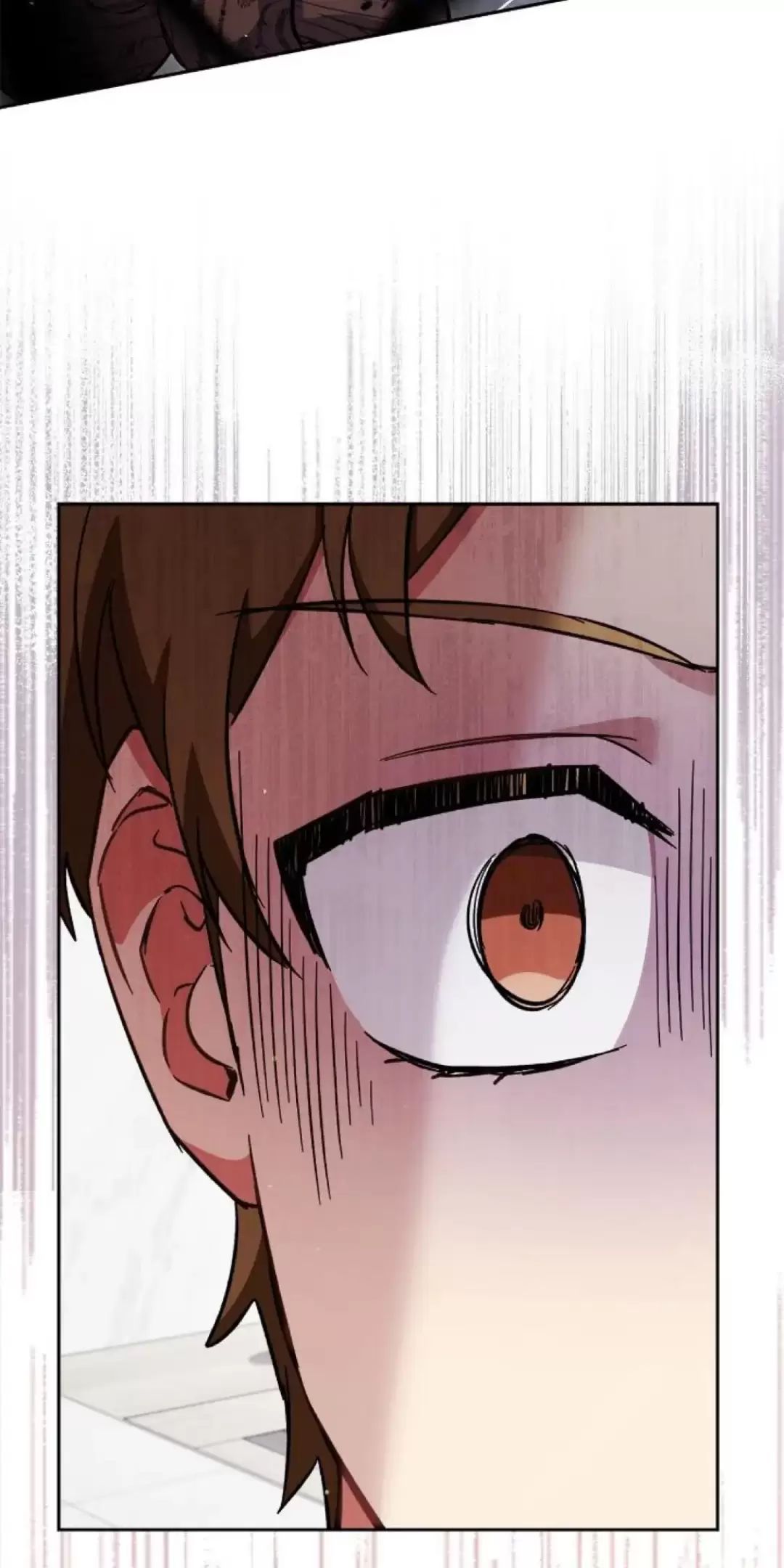 Sự Sống Sót Của Kẻ Chiêu Hồn Chapter  73 - 75