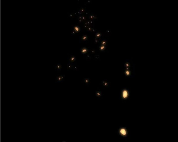 Một Lần Bất Cẩn Vang Danh Thiên Hạ Chapter  61 - 43