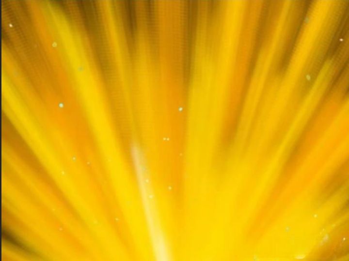 Một Lần Bất Cẩn Vang Danh Thiên Hạ Chapter  72 - 2