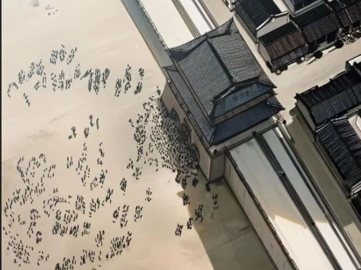 Một Lần Bất Cẩn Vang Danh Thiên Hạ Chapter  72 - 67