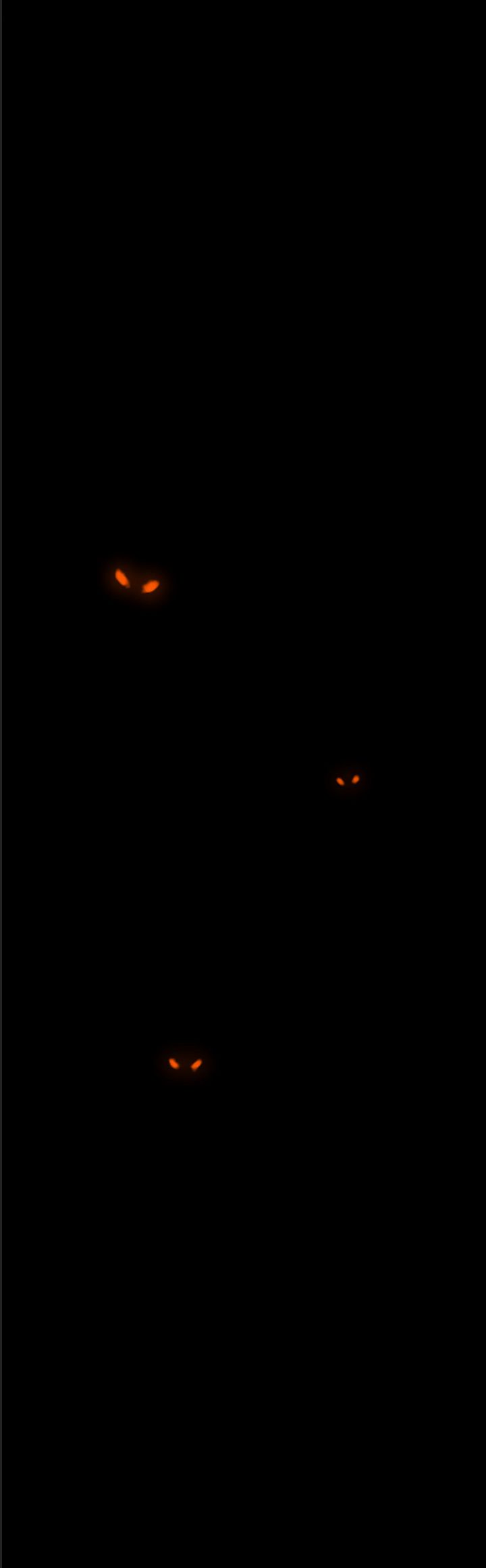 Anh Trai Tôi Là Hổ Chapter  15 - 35