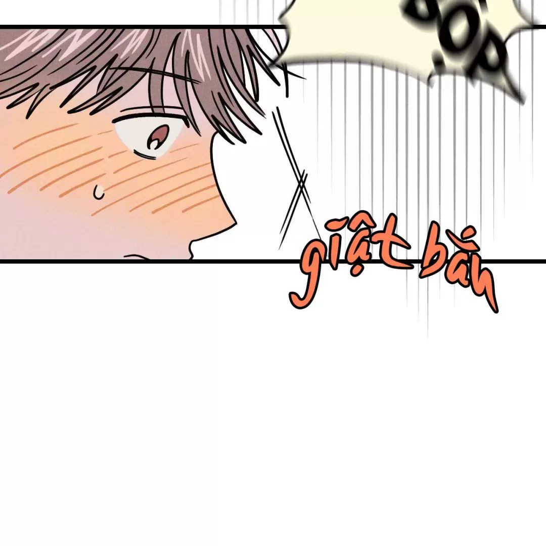 Lời Tỏ Tình Từ Con Số 0 Chapter 4 - 19