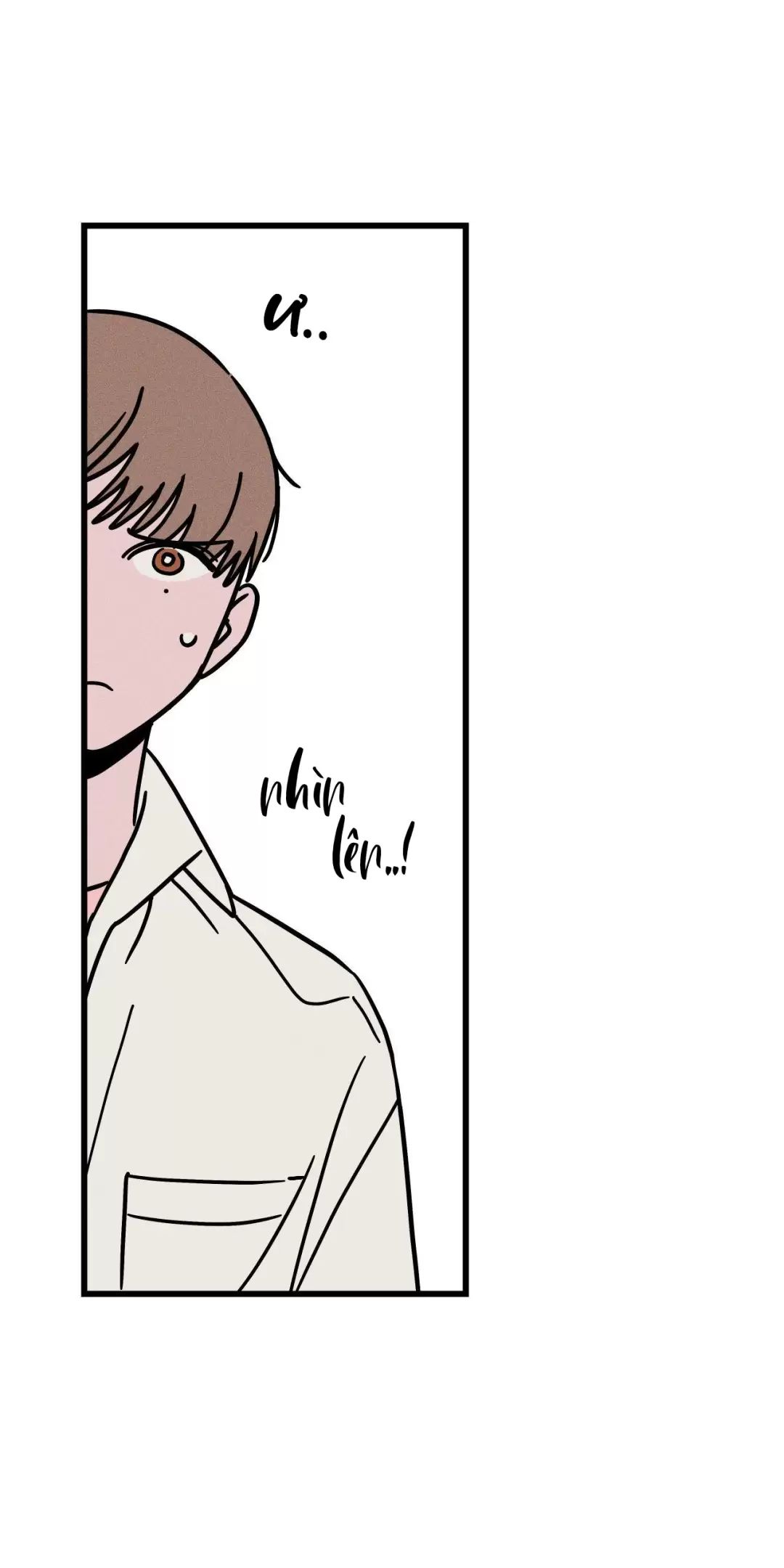 Lời Tỏ Tình Từ Con Số 0 Chapter  31 - 39