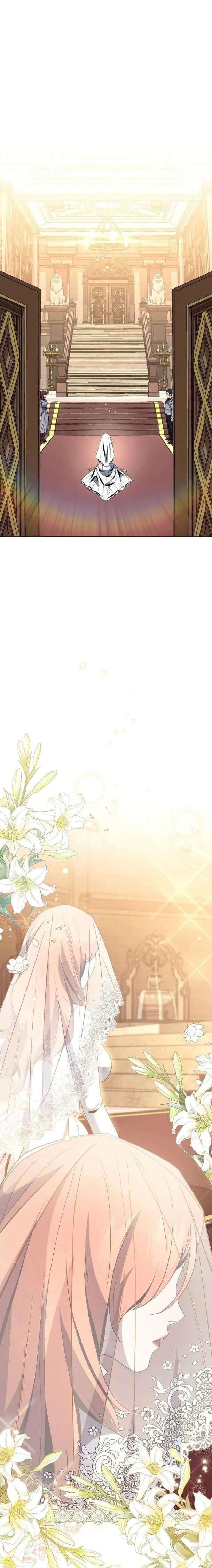 Cốt Binh Trở Lại Chapter 254 - 8