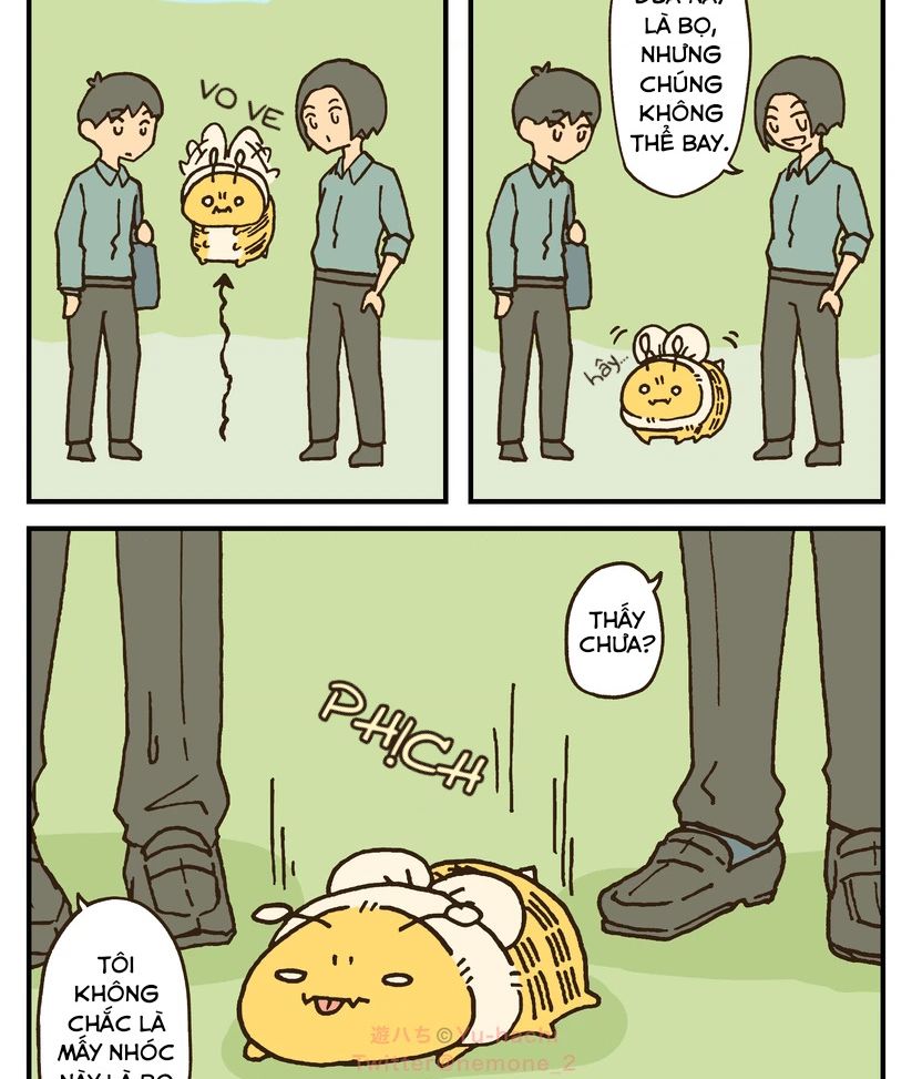Những Chú Ong Béo Chapter  19.2 - 3