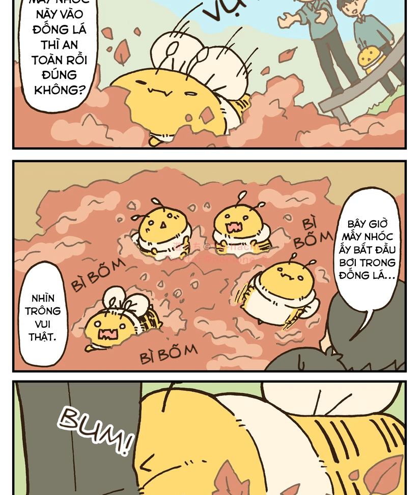 Những Chú Ong Béo Chapter  19.4 - 1