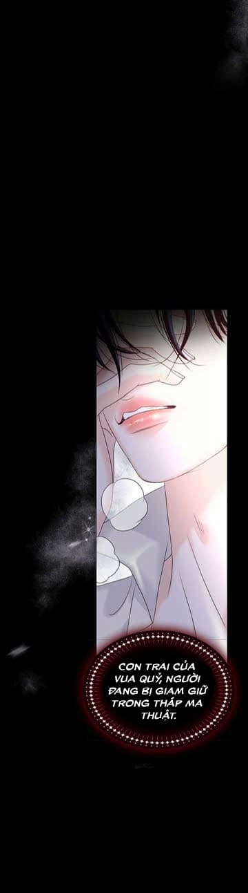 Ác Nữ Thuần Hóa Ác Quỷ Điên Rồ Chapter 2 - 65