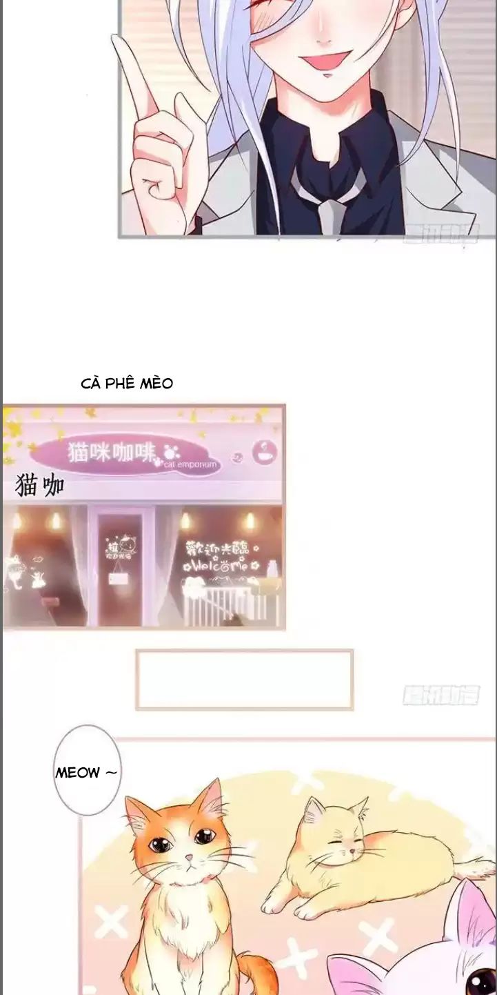 Hắc Đạo Này Có Chút Manh Chapter  176 - 10