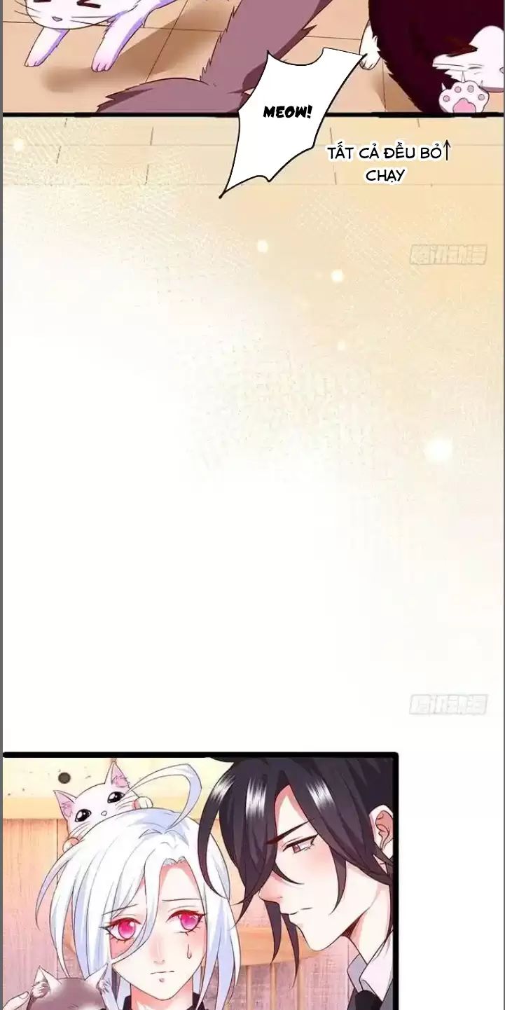 Hắc Đạo Này Có Chút Manh Chapter  176 - 13
