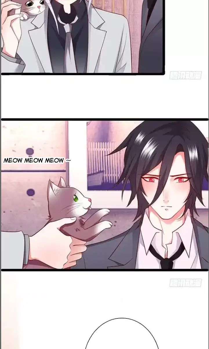 Hắc Đạo Này Có Chút Manh Chapter  176 - 14