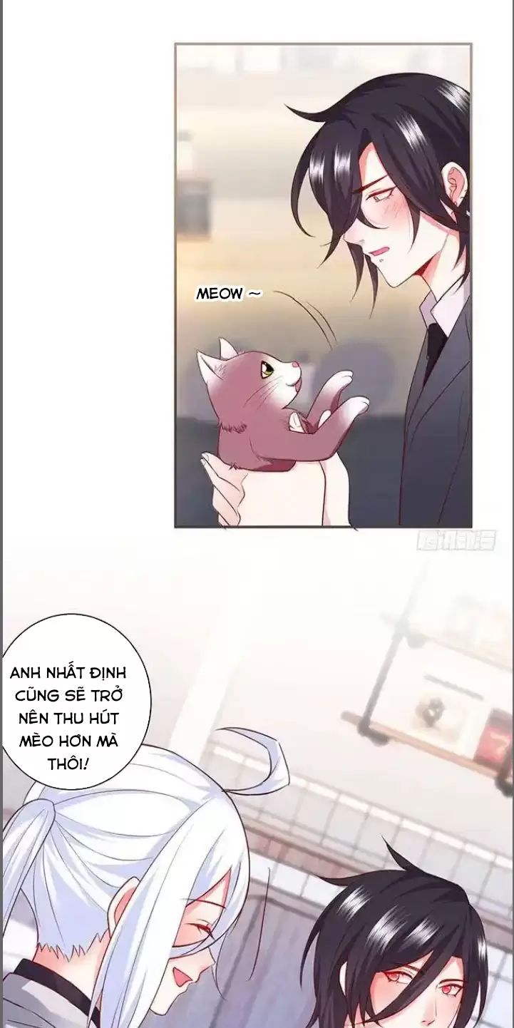 Hắc Đạo Này Có Chút Manh Chapter  176 - 16