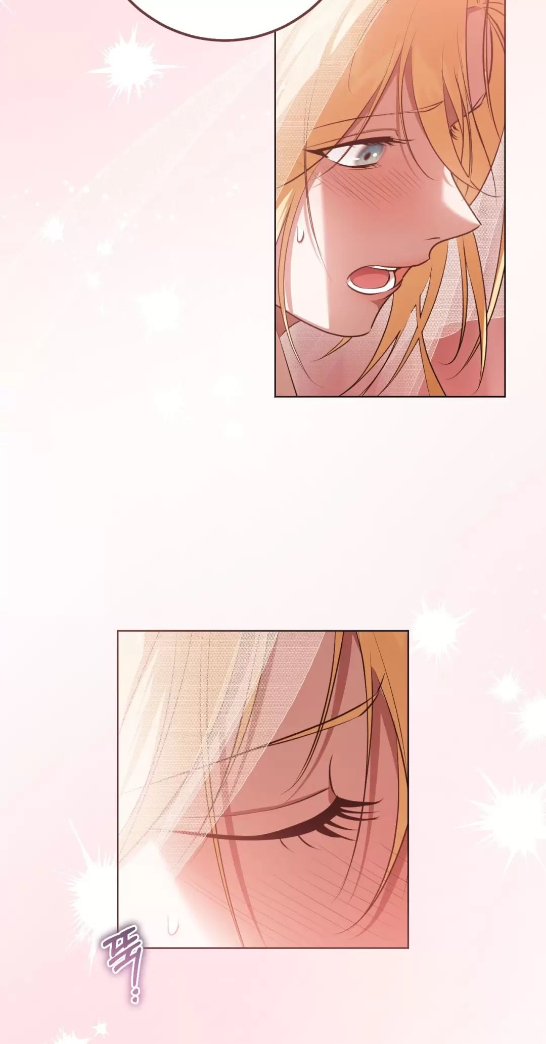 Thánh Nữ Giả Muốn Bỏ Trốn Chapter  71 - 29