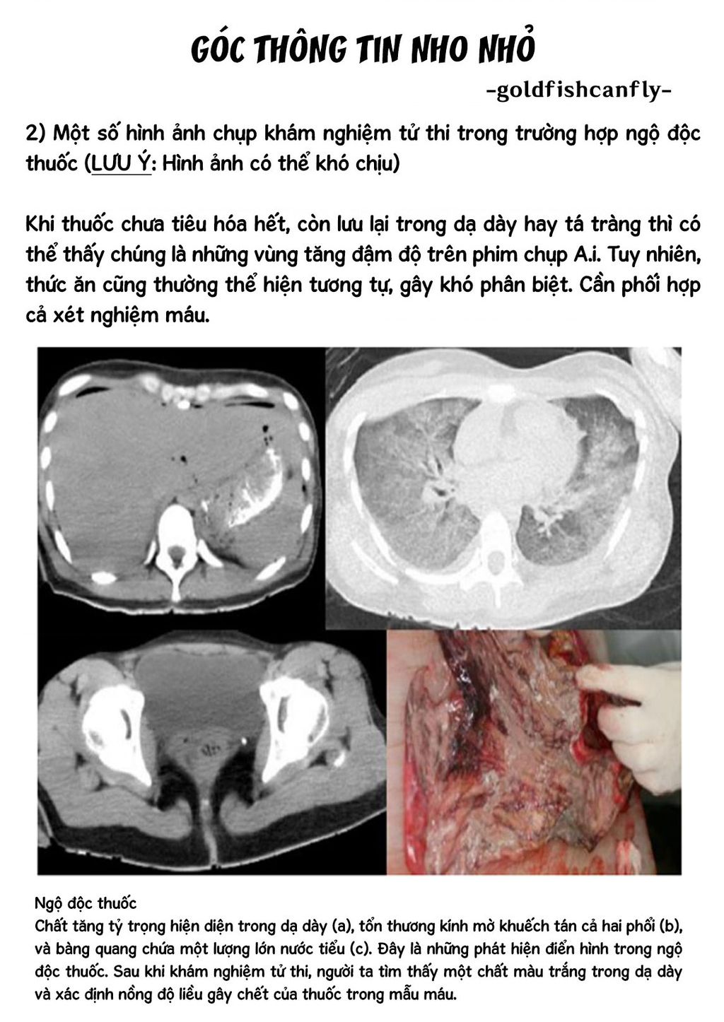 Radiation House Chapter  104 - 27