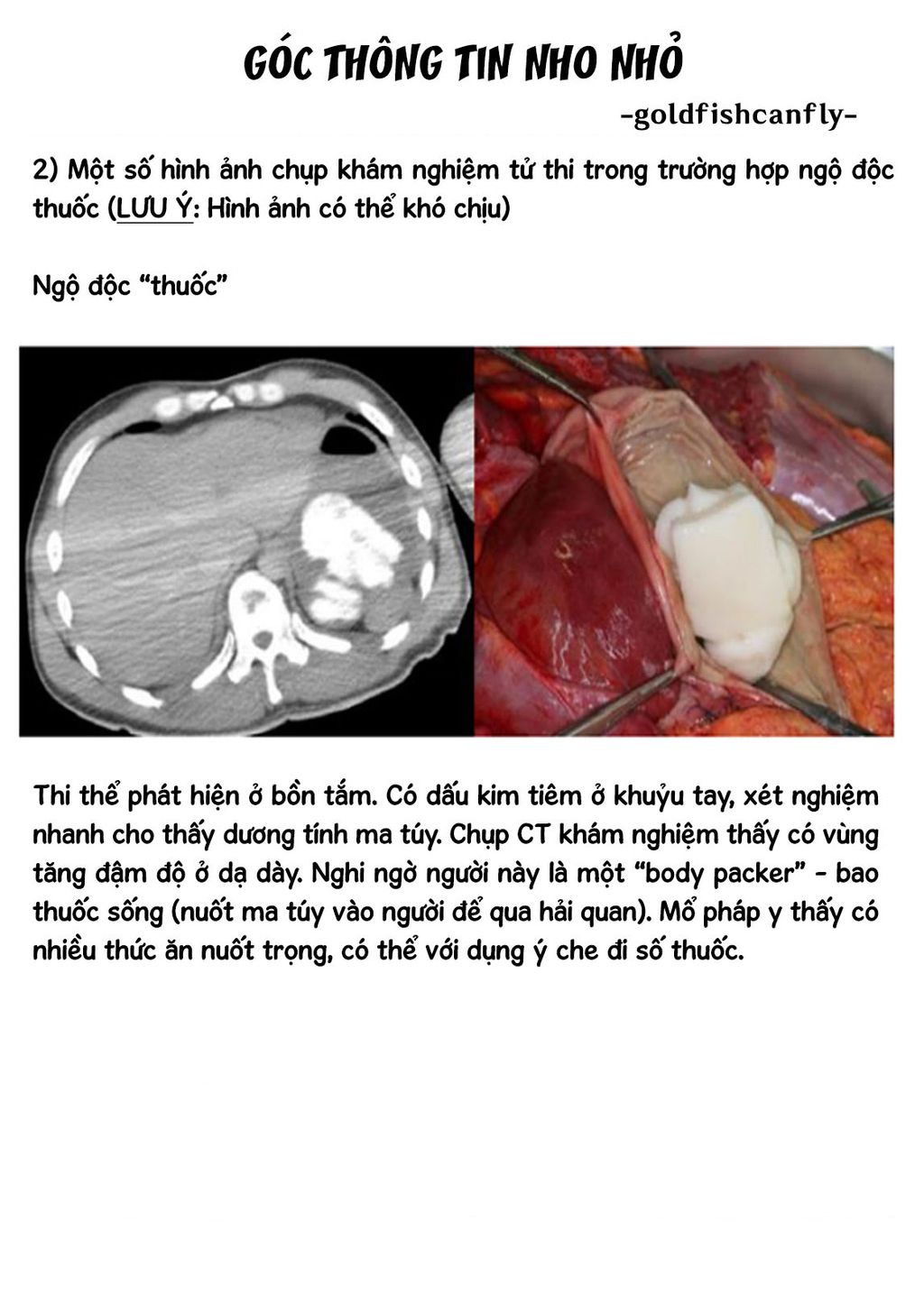 Radiation House Chapter  104 - 28