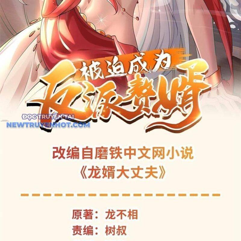 Người Ở Rể Bị Ép Thành Phản Diện Chapter 642 - 3