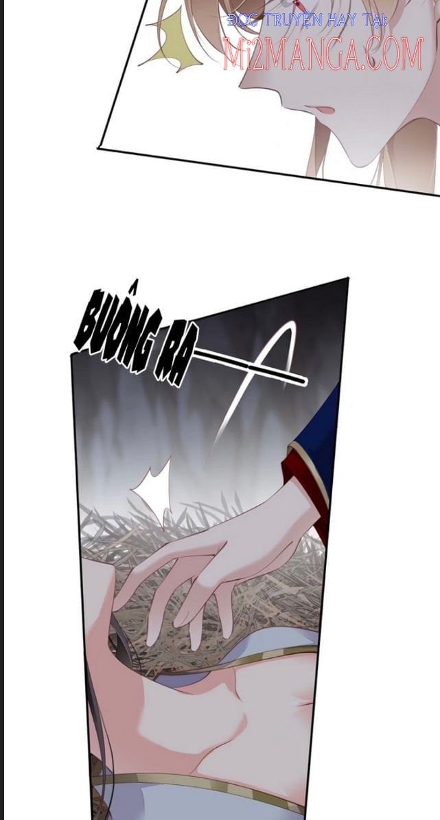 Quận Chúa Bất Tư Gia Chapter 71.5 - 14