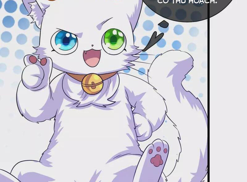 Hài Đế Vi Tôn Chapter 175 - 14