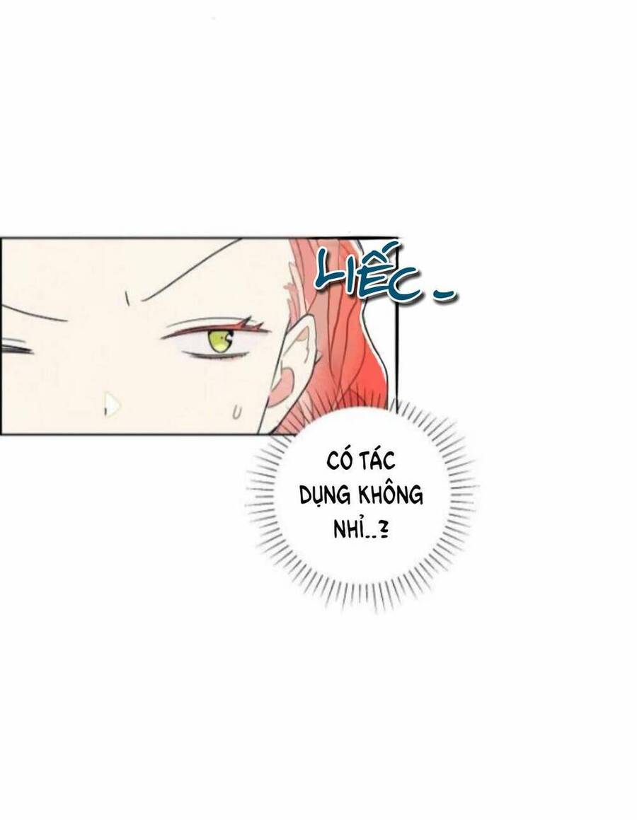 Tôi Đã Cướp Mất Đêm Đầu Tiên Của Nam Chính Chapter 10 - 5