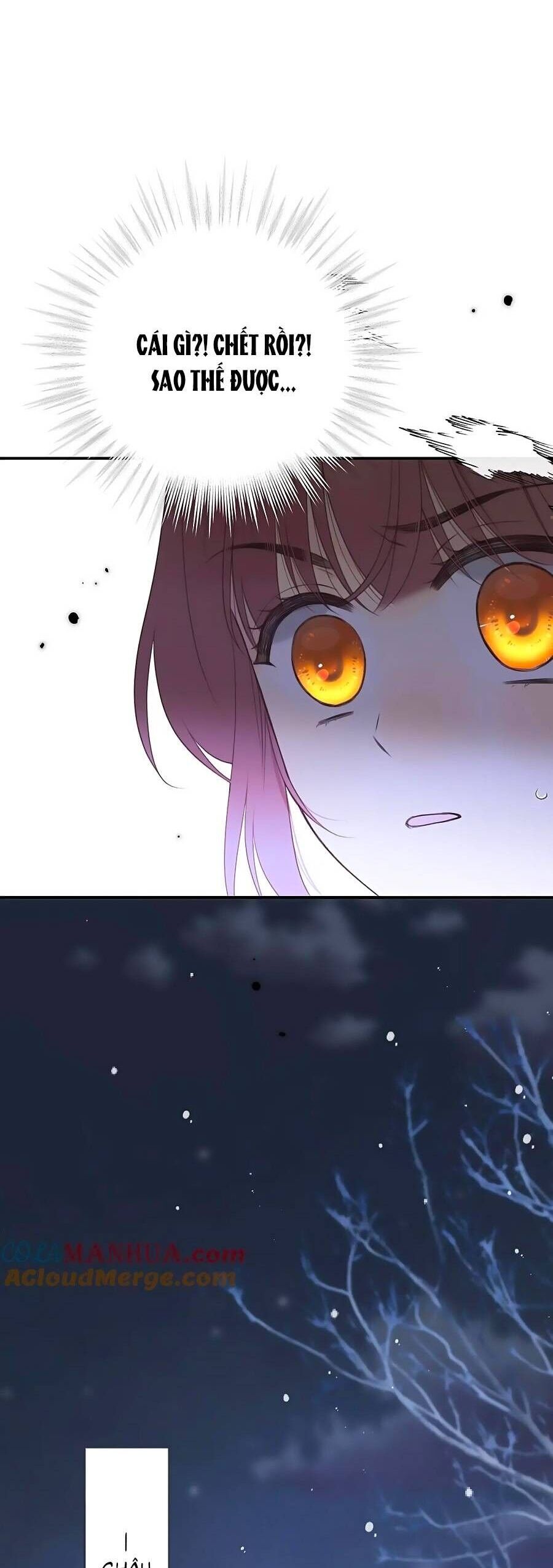 Lâu Tiểu Thư, Lại Gặp Nhau Rồi Chapter 132 - 11