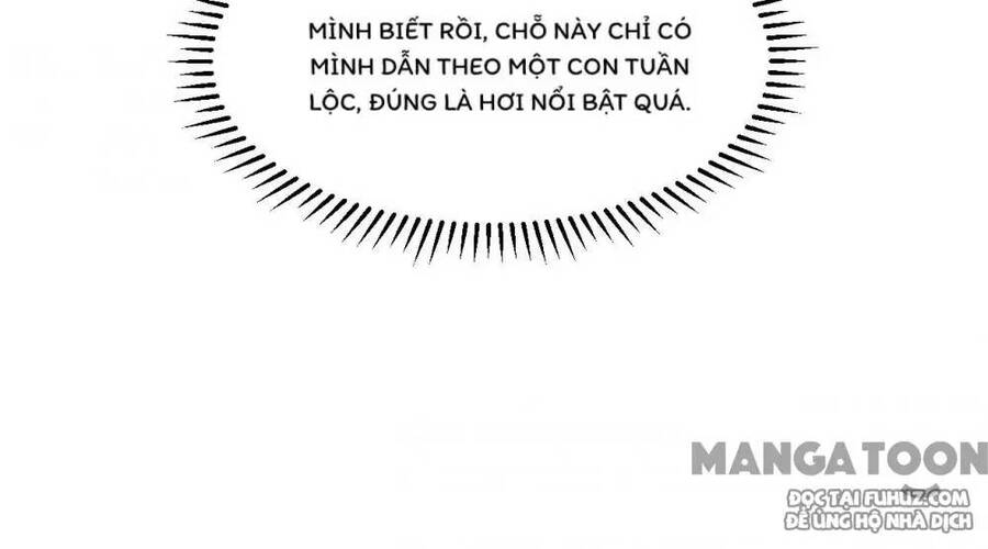 Sống Trên Hoang đảo Cùng Các Em Gái Chapter 254 - 30