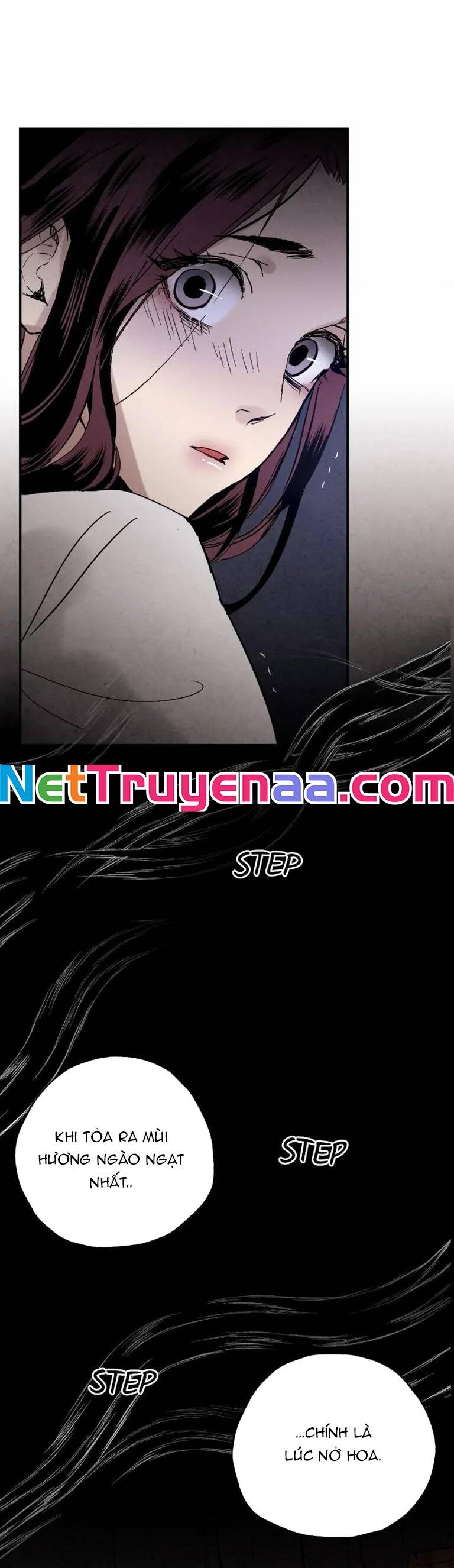 Pha Lê Xanh Chapter  13 - 23