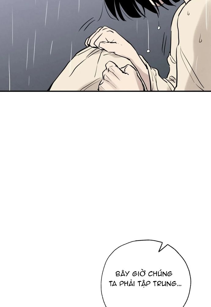 Pha Lê Xanh Chapter 39 - 65