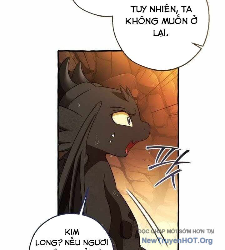 Phế Vật Dòng Dõi Bá Tước Chapter 153 - 31