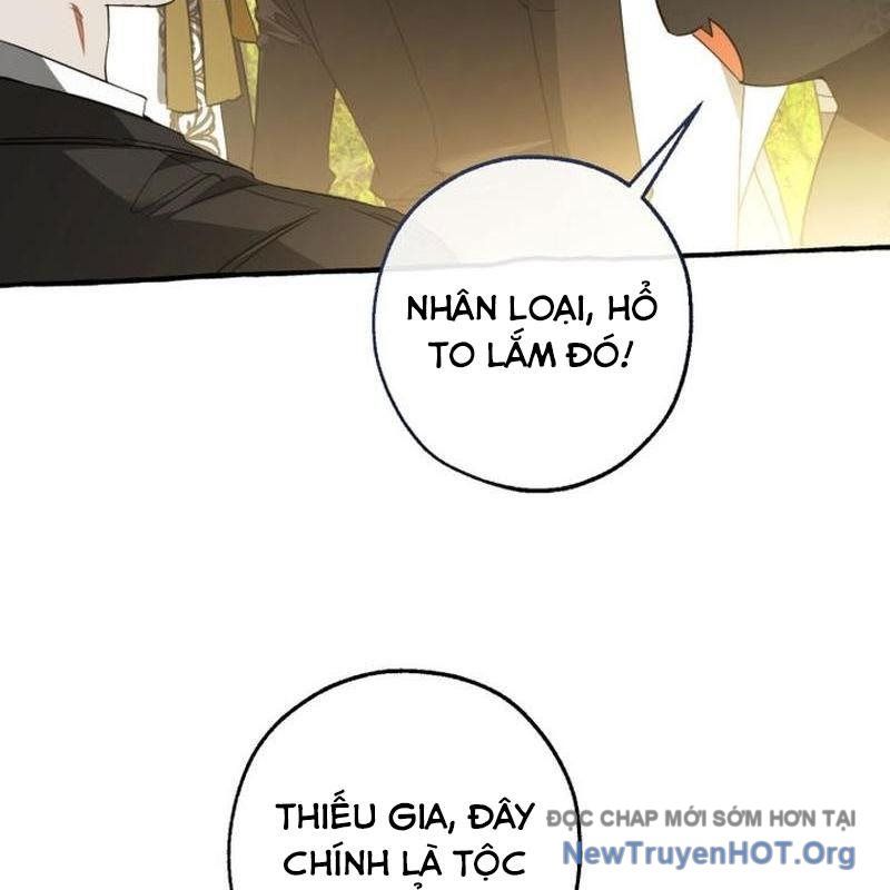 Phế Vật Dòng Dõi Bá Tước Chapter 163 - 97