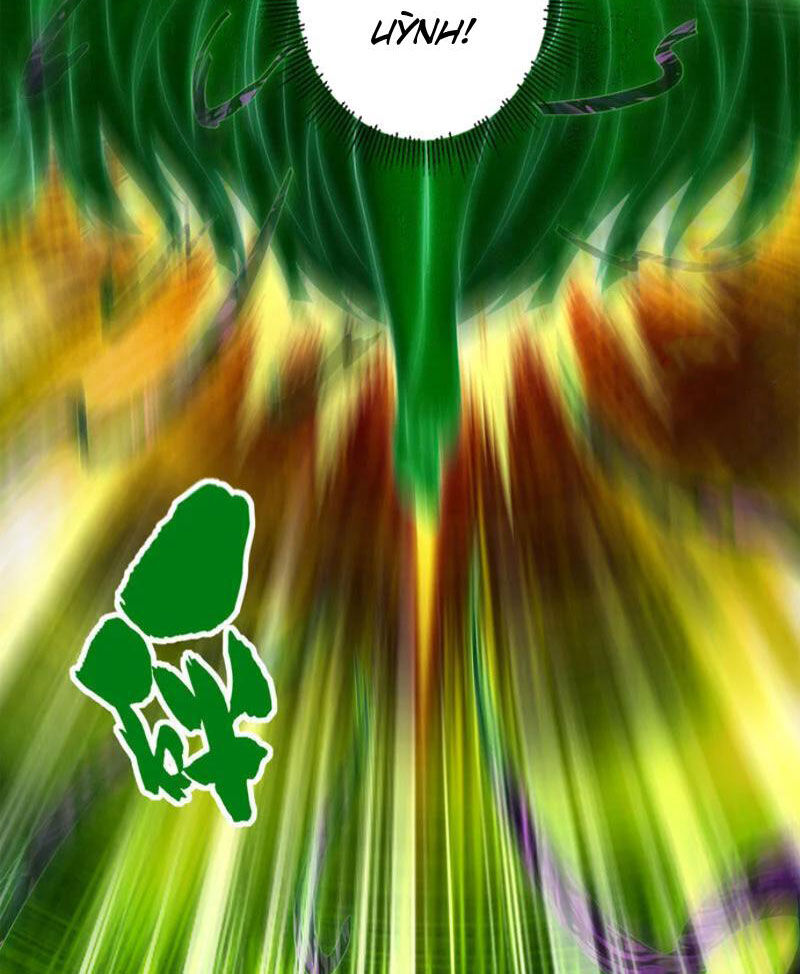 Đệ Nhất Ở Rể Chapter 313 - 40