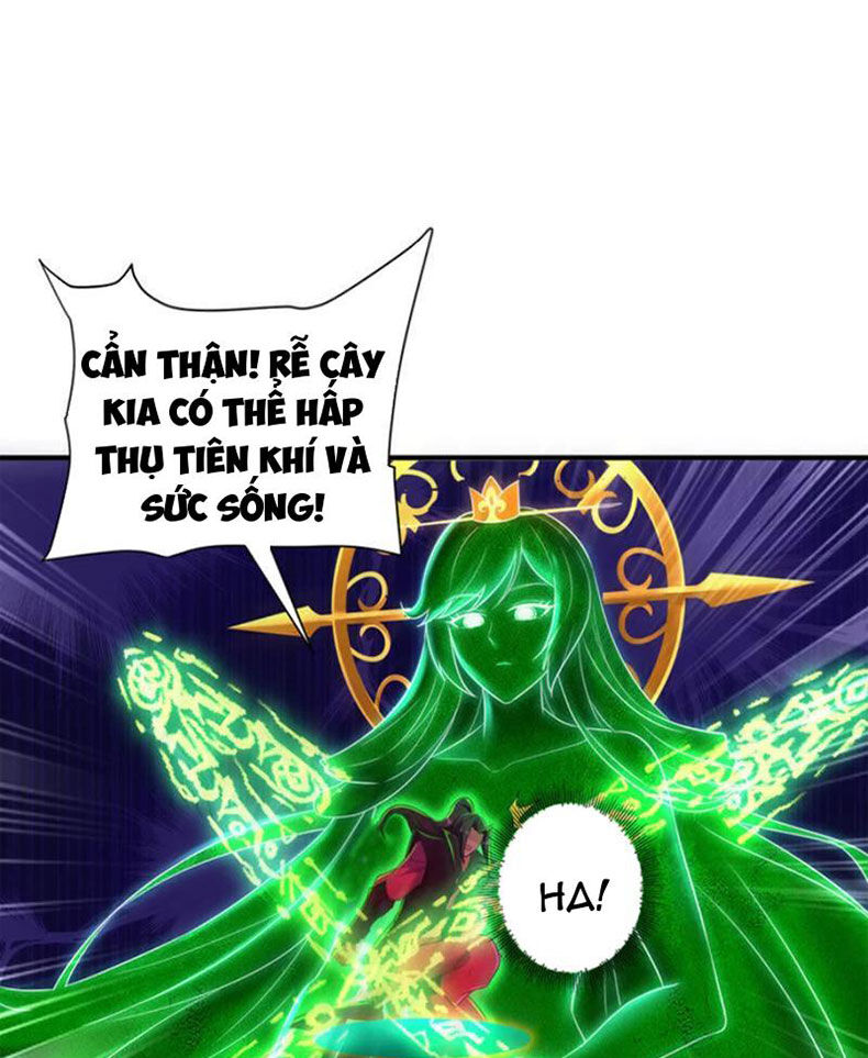 Đệ Nhất Ở Rể Chapter 313 - 52