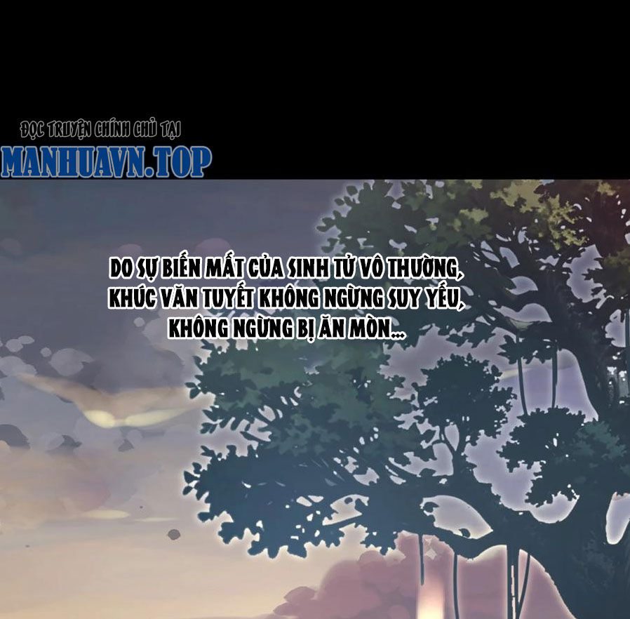 Tu Luyện Thành Tiên Ta Chỉ Muốn Nuôi Nữ Đồ Đệ Chapter 167 - 44