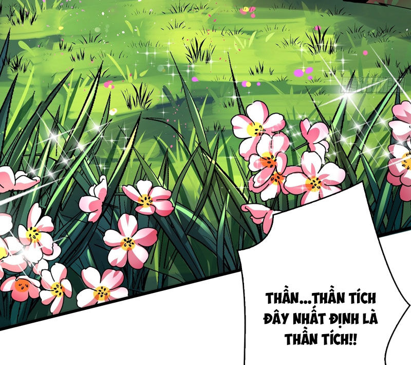 Vừa Chơi Đã Có Tài Khoản Vương Giả Chapter 333 - 52
