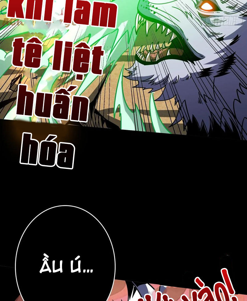 Vừa Chơi Đã Có Tài Khoản Vương Giả Chapter 385 - 69